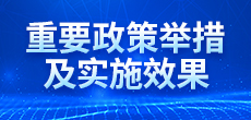 重要政策舉措及實(shí)施效果